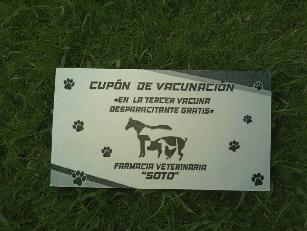 Promoción Vacunación